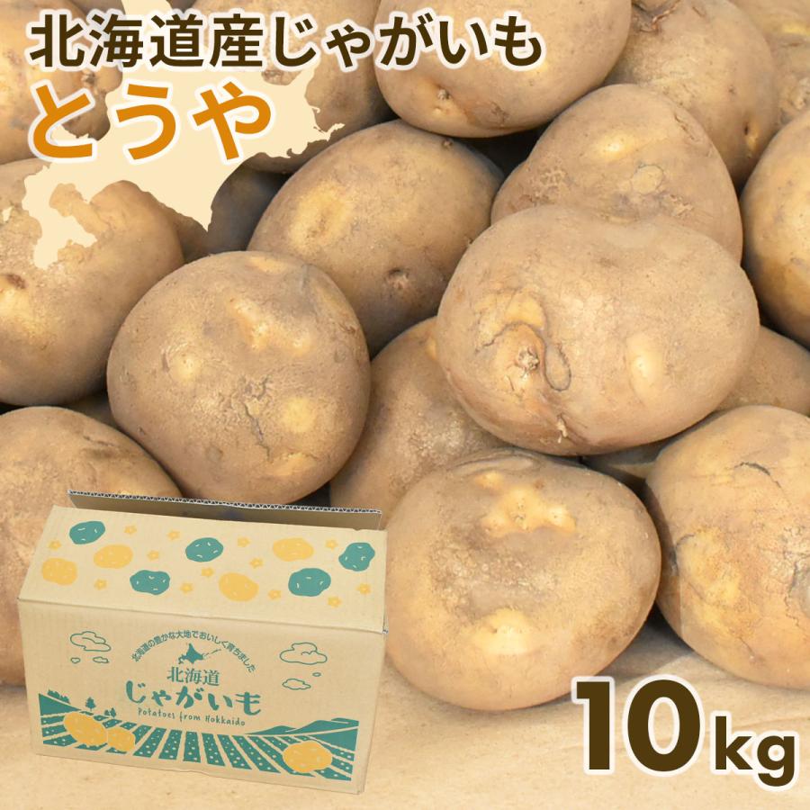 北海道産 じゃがいも 黄爵(とうや) 10kg 黄色くなめらかな じゃが芋 野菜 ジャガイモ 国産 北海道産 産地直送 大容量 お得用 徳用 大容量 まとめ買い 業務用 | 