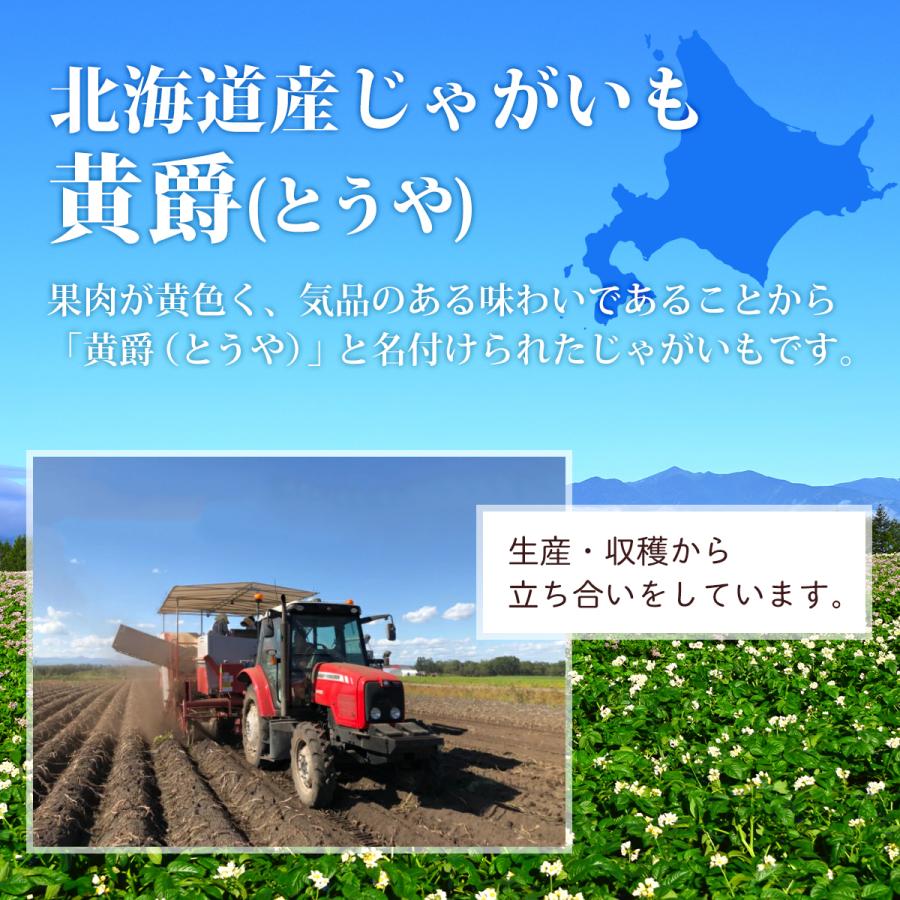 北海道産 じゃがいも 黄爵(とうや) 10kg 黄色くなめらかな じゃが芋 野菜 ジャガイモ 国産 北海道産 産地直送 大容量 お得用 徳用 大容量 まとめ買い 業務用 |  | 06
