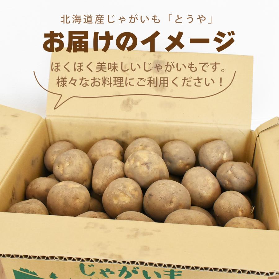 北海道産 じゃがいも 黄爵(とうや) 10kg 黄色くなめらかな じゃが芋 野菜 ジャガイモ 国産 北海道産 産地直送 大容量 お得用 徳用 大容量 まとめ買い 業務用 |  | 12