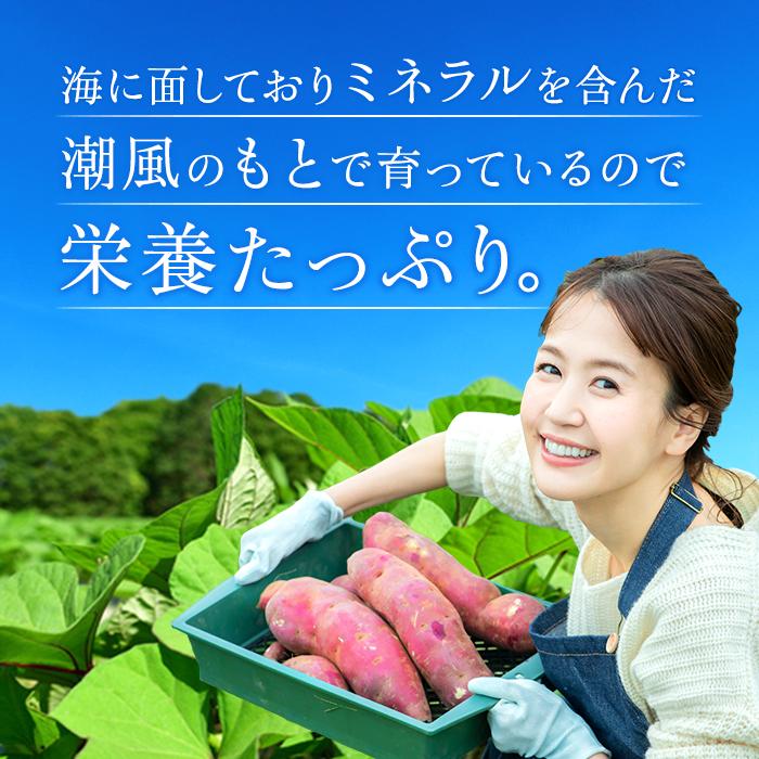 干し芋 国産 さつまいもスイーツ 紅はるか プレゼント スイーツ お取り寄せ 茨城県産 平干し 無添加 お菓子 400g 柔らかい 天日干し 送料無料　T400｜imokuniya｜06