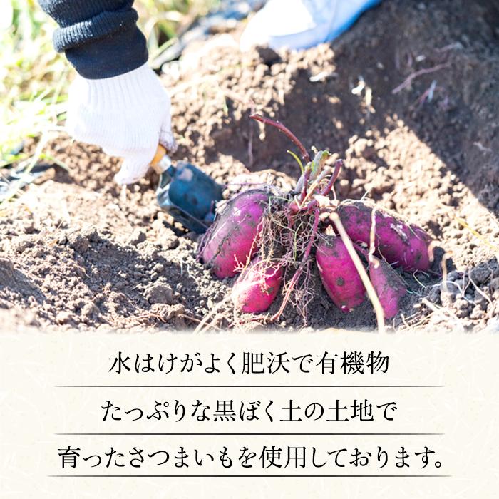 夏ギフト お中元 2026 干し芋 国産 A品 紅はるか 500g 無添加 ほしいも