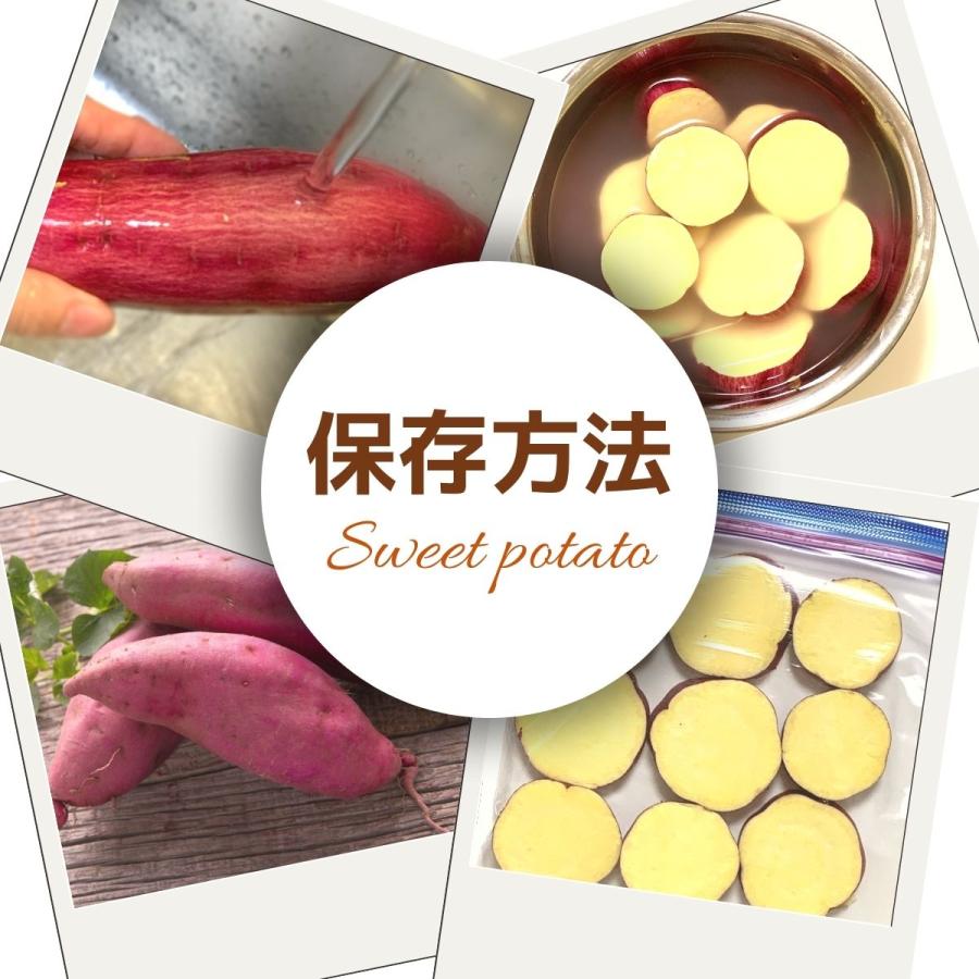 新芋 生芋 紅はるか M〜Lサイズ 5kg 茨城 さつまいも 箱