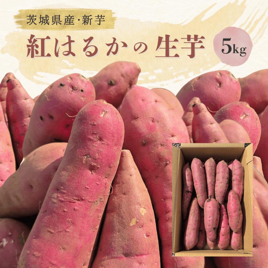 2024年 新芋 紅はるか Sサイズ さつまいも 5kg 箱 茨城県産 ひたちなか