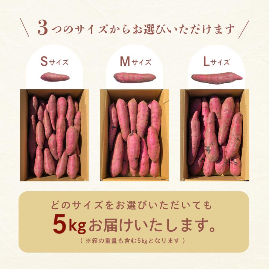 2024年 新芋 紅はるか Sサイズ さつまいも 5kg 箱 茨城県産 ひたちなか