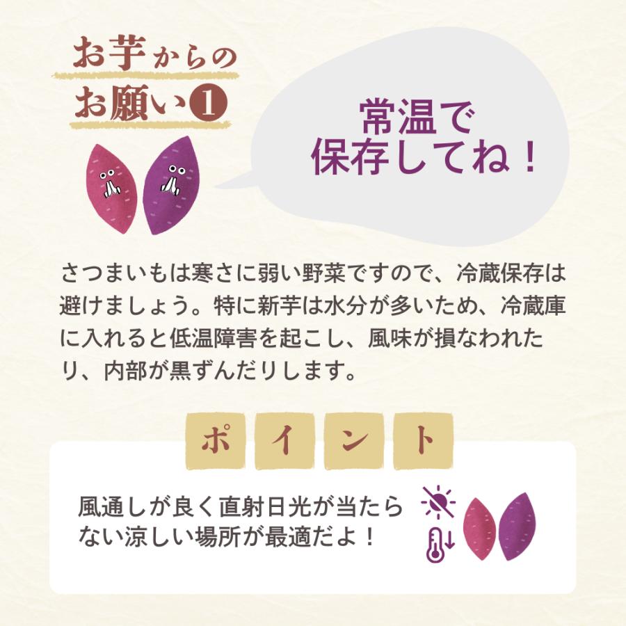 夏ギフト お中元 2024年 新芋 紅はるか Sサイズ さつまいも 5kg 箱