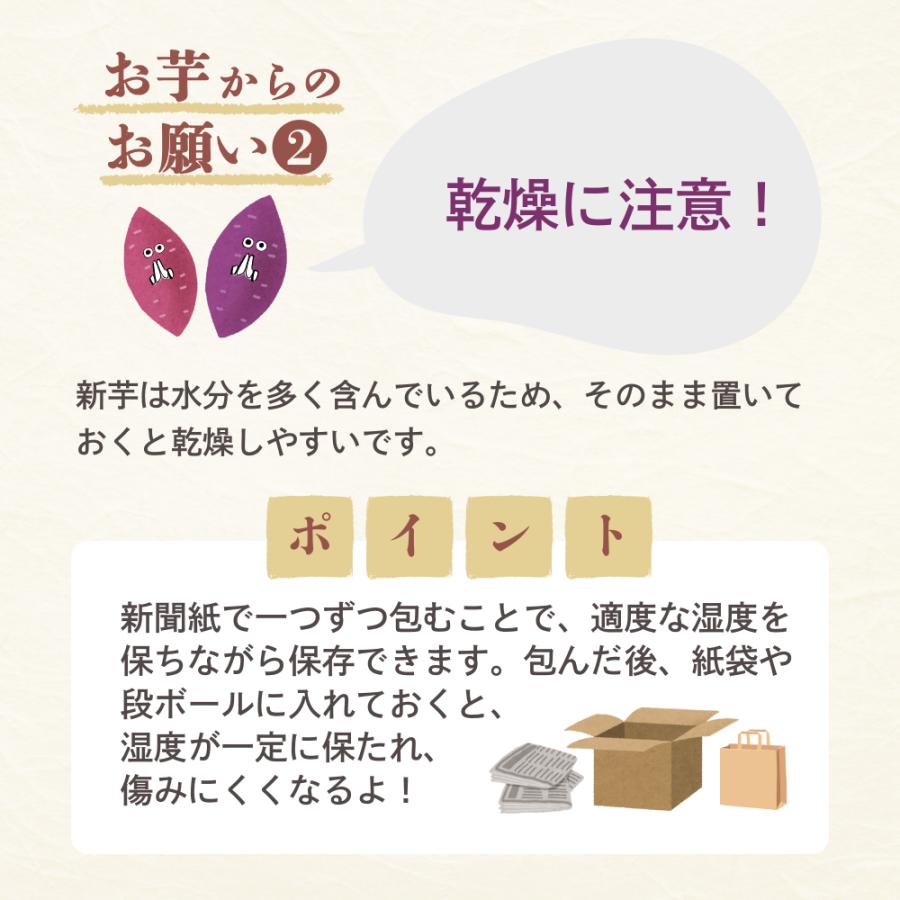 2024年 新芋 紅はるか Sサイズ さつまいも 5kg 箱 茨城県産 ひたちなか
