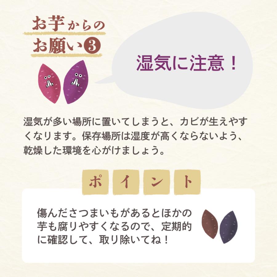2024年 新芋 紅はるか Sサイズ さつまいも 5kg 箱 茨城県産 ひたちなか