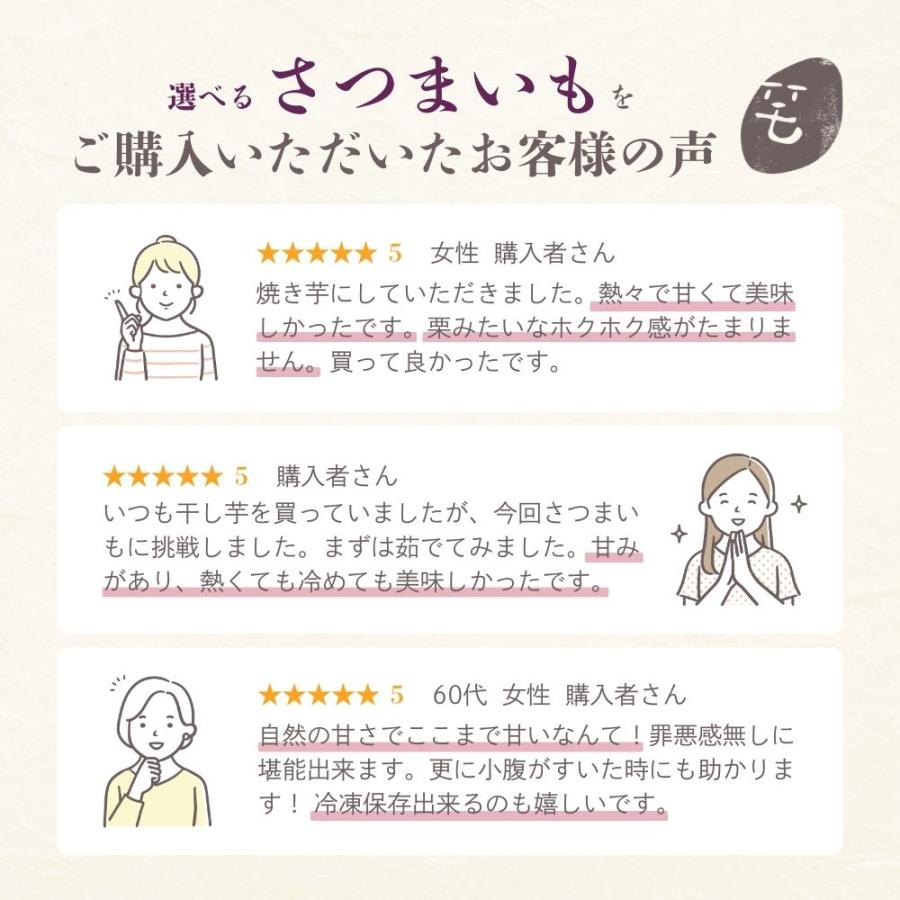 選べるさつまいも【 紅はるか 】ふくむらさき 紫芋 シルクスイート 紅