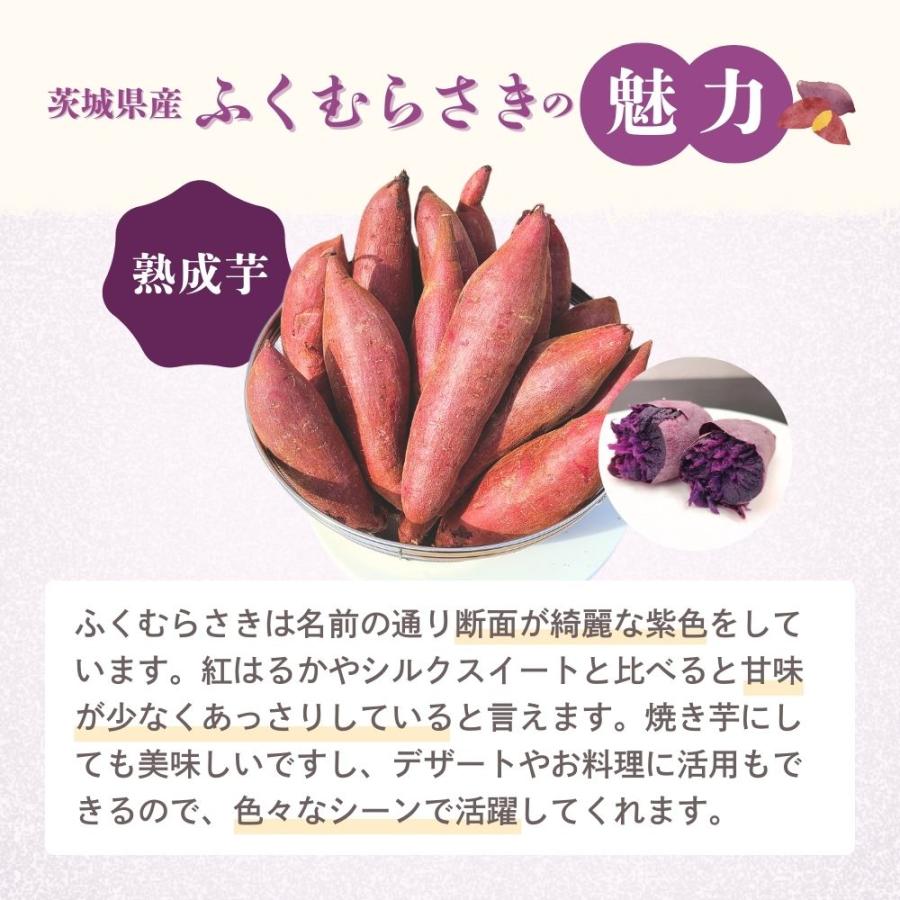 選べるさつまいも【 紅はるか 】ふくむらさき 紫芋 シルクスイート 紅
