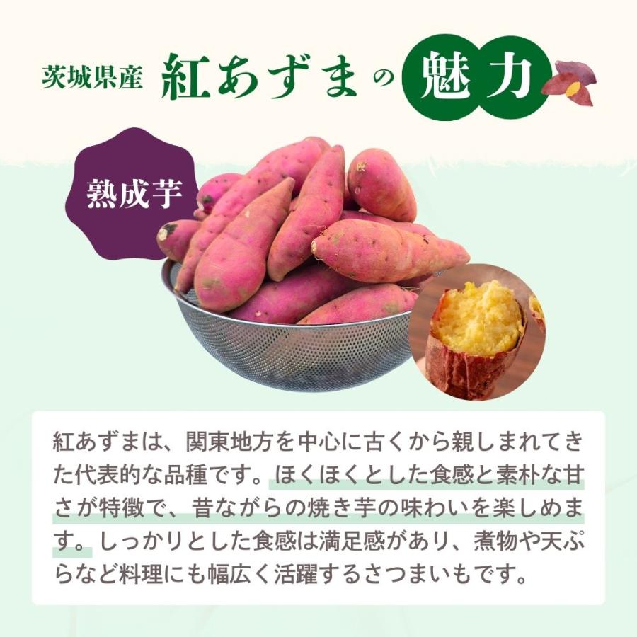 選べるさつまいも【 紅はるか 】ふくむらさき 紫芋 シルクスイート 紅