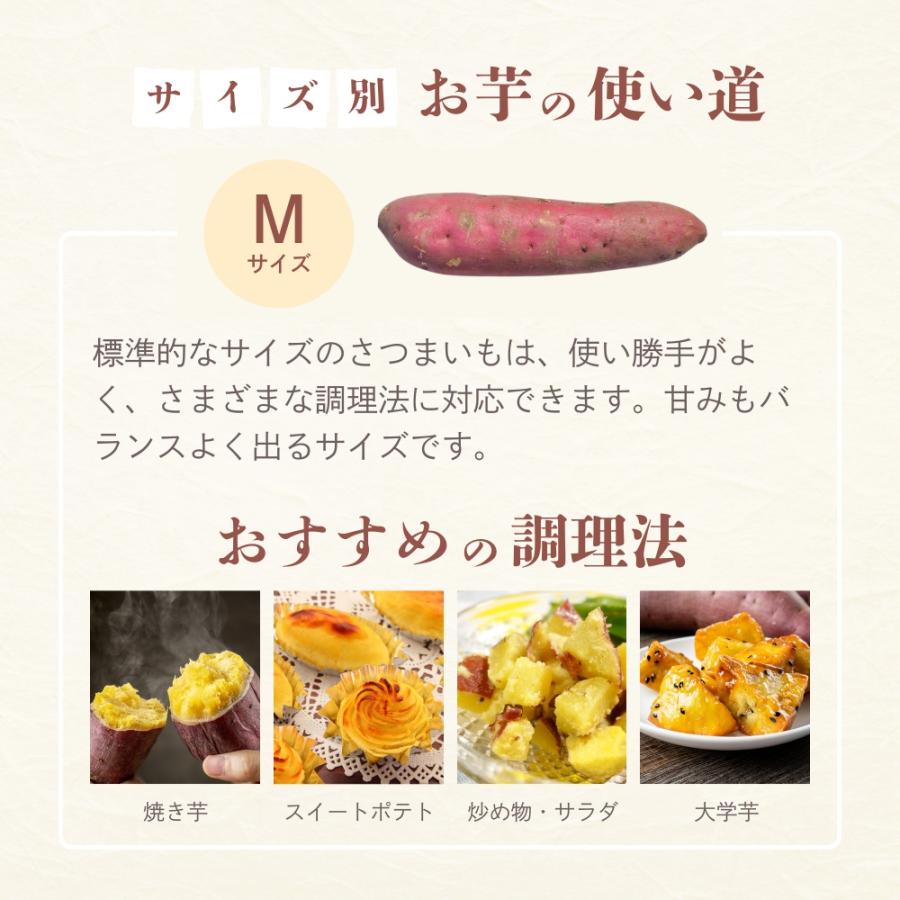 選べるさつまいも【紅はるか】ふくむらさき 紫芋 シルクスイート