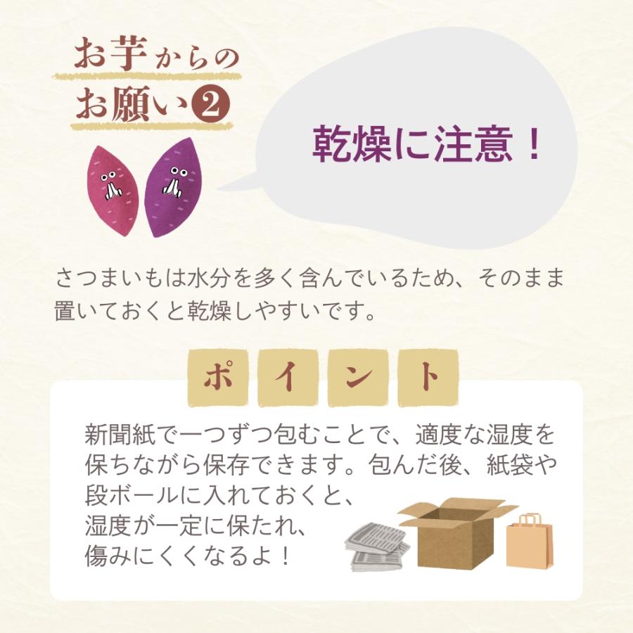 父の日 2026 選べるさつまいも【 シルクスイート 】紅はるか ふく