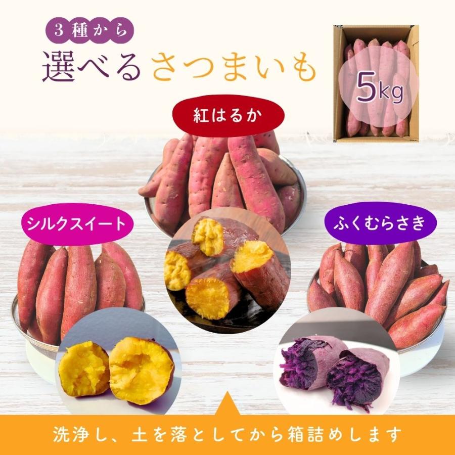 選べるさつまいも【 シルクスイート 】 紅はるか ふくむらさき