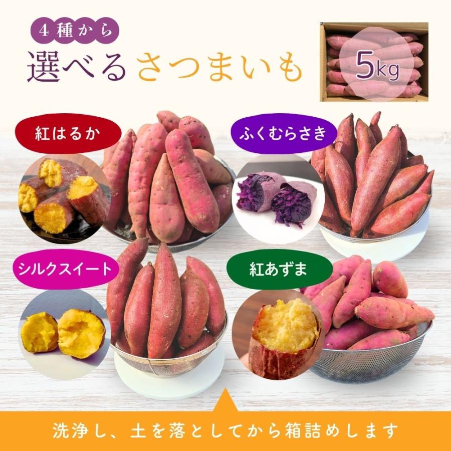選べるさつまいも【 シルクスイート 】紅はるか ふくむらさき 紫芋 紅