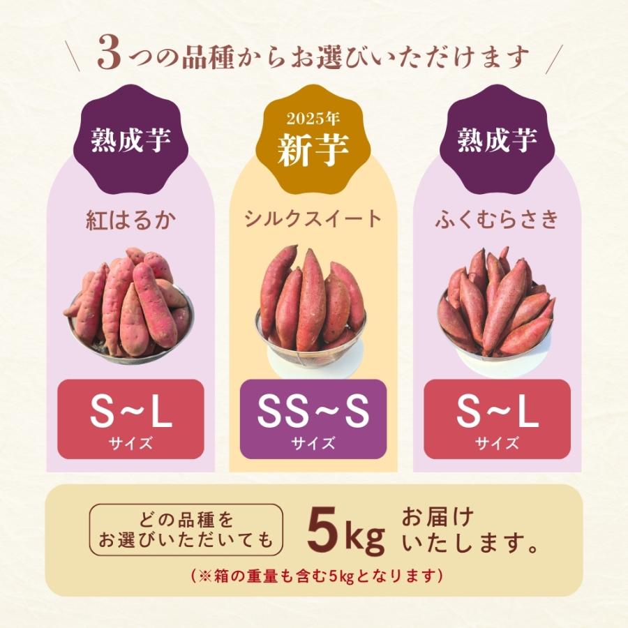 選べるさつまいも【シルクスイート】紅はるか ふくむらさき 紫芋