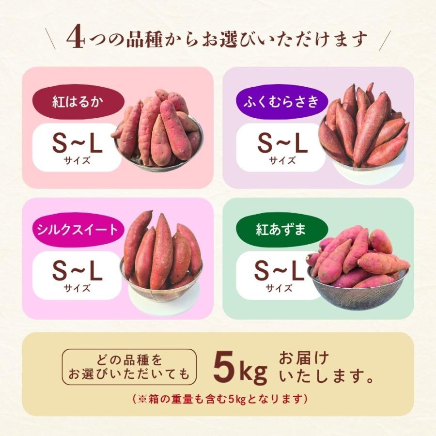 選べるさつまいも【 シルクスイート 】紅はるか ふくむらさき 紫芋 紅