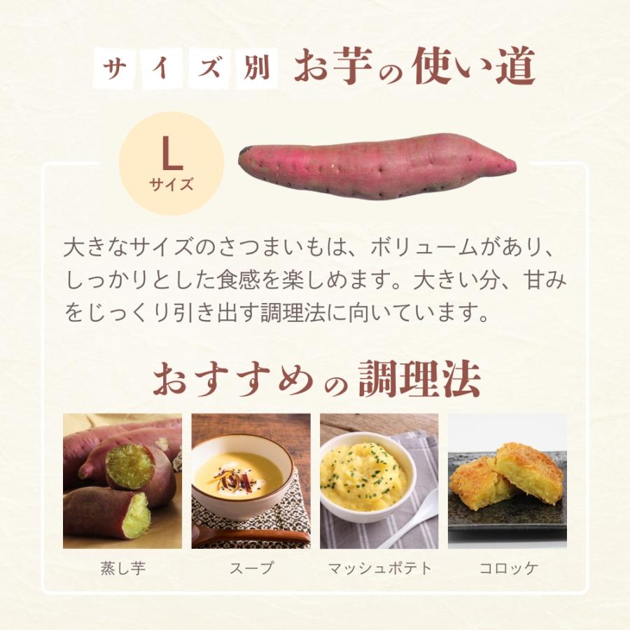 父の日 2026 選べるさつまいも【 シルクスイート 】紅はるか ふく
