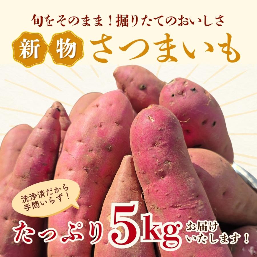 2025年 新芋 シルクスイート さつまいも 5kg 茨城 箱 さつま芋 甘い 生