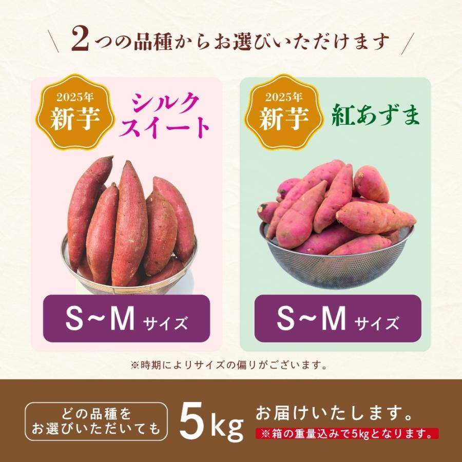 2025年 新芋 シルクスイート さつまいも 5kg 茨城 箱 さつま芋 甘い 生