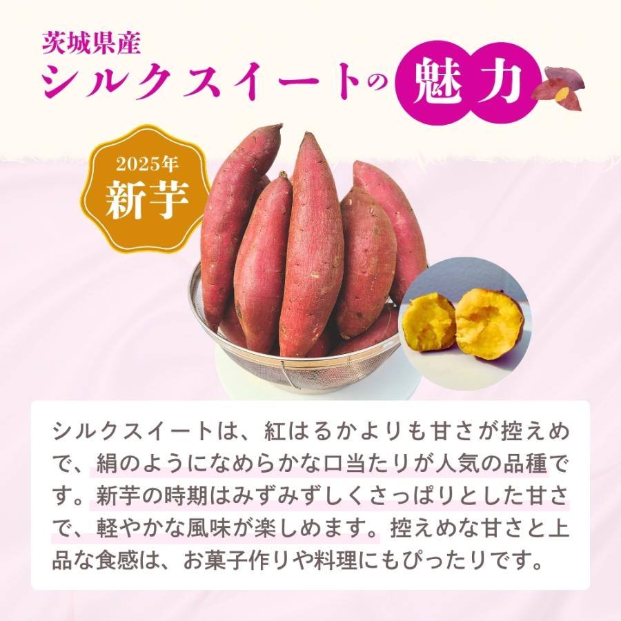 2025年 新芋 シルクスイート さつまいも 5kg 茨城 箱 さつま芋 甘い 生