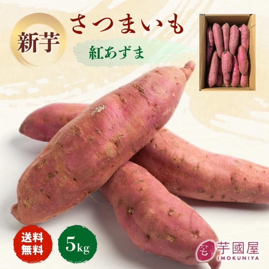 2025年 新芋 紅あずま さつまいも 5kg 茨城 箱 さつま芋 甘い 生芋