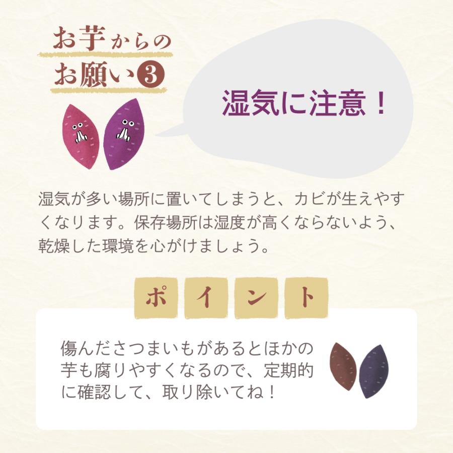 2025年 新芋 紅あずま さつまいも 5kg 茨城 箱 さつま芋 甘い 生芋
