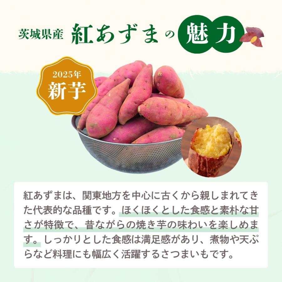 2025年 新芋 紅あずま さつまいも 5kg 茨城 箱 さつま芋 甘い 生芋