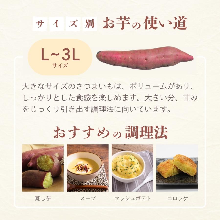 選べるさつまいも【 紅あずま 】紅はるか ふくむらさき 紫芋 シルク