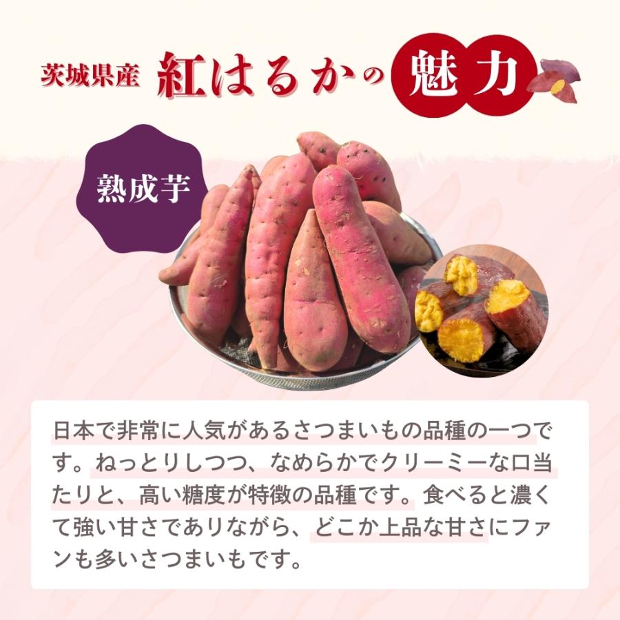 13日発送紅あずま３０はるか30ふくむらさき30安納芋30シルクスイート30 選べるさつまいも【 紅あずま 】紅はるか ふくむらさき 紫芋 シルク