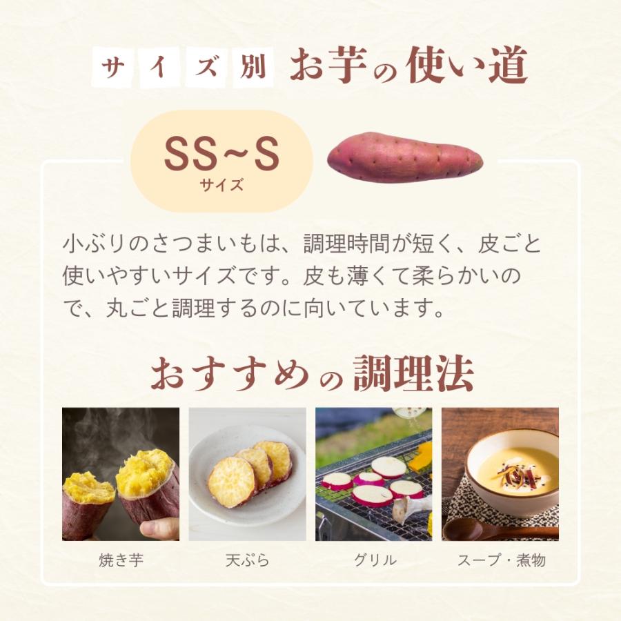 選べるさつまいも【 紅あずま 】紅はるか ふくむらさき 紫芋 シルク