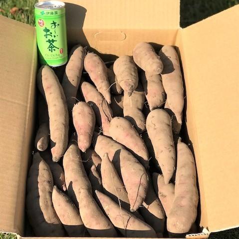 サツマイモ 5kg 焼き芋用 べにはるか 訳あり キズあり形不揃い 自社生産 茨城県那珂市産 サイズ1個200g〜300g 土付き 特別セール品 送料無料 一部地域を除く
