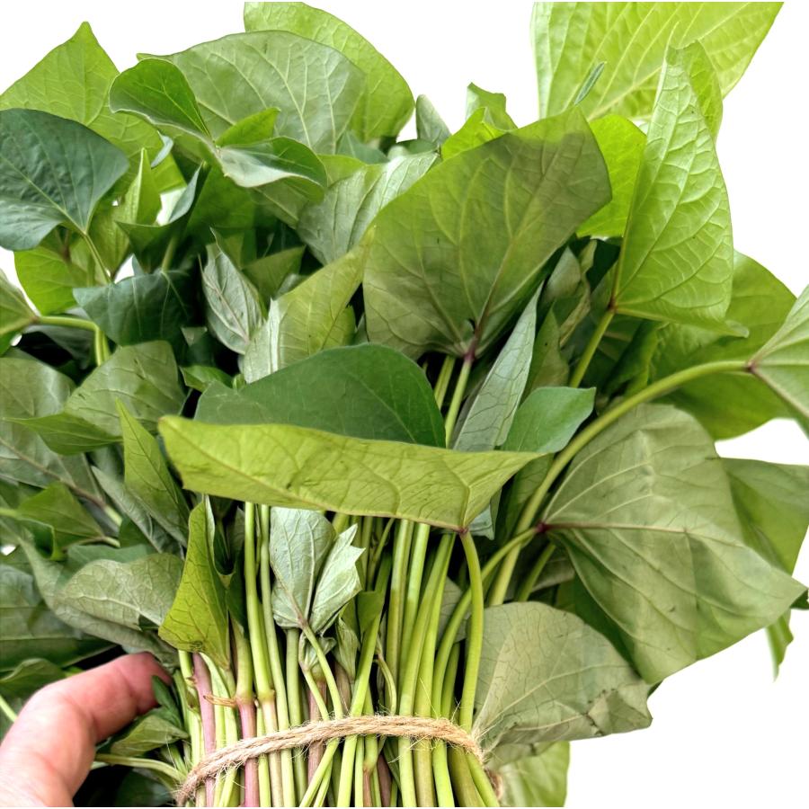 【予約】5月中旬発送　さつまいも【苗】60本【宅急便】　べにはるか　茨城県産【芋助】 |  | 02