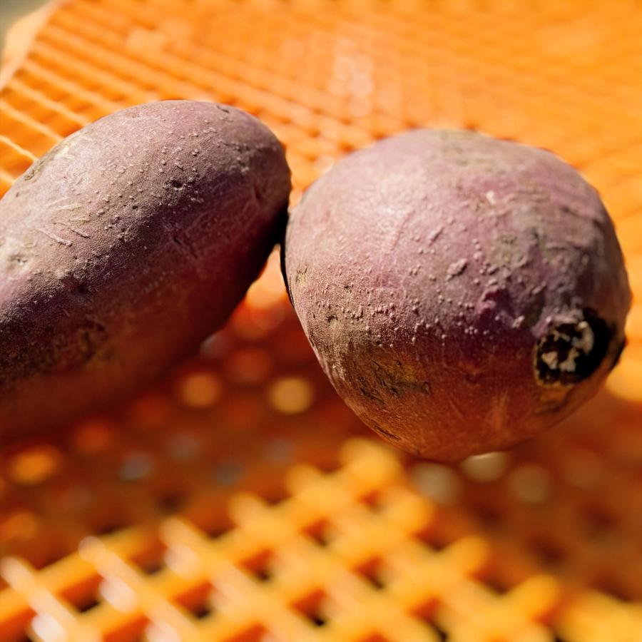 【予約】5月下旬発送【ほしあかね】さつまいも【苗】15本【メール便】茨城県産【芋助】 |  | 03