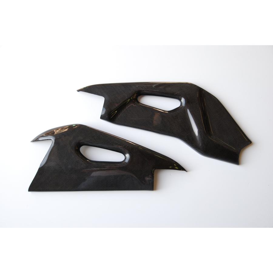 【正規輸入代理店】LighTech - ドライカーボン スイングアームプロテクター (艶あり) RSV4 '09-14 / TUONO V4 '11-20_2