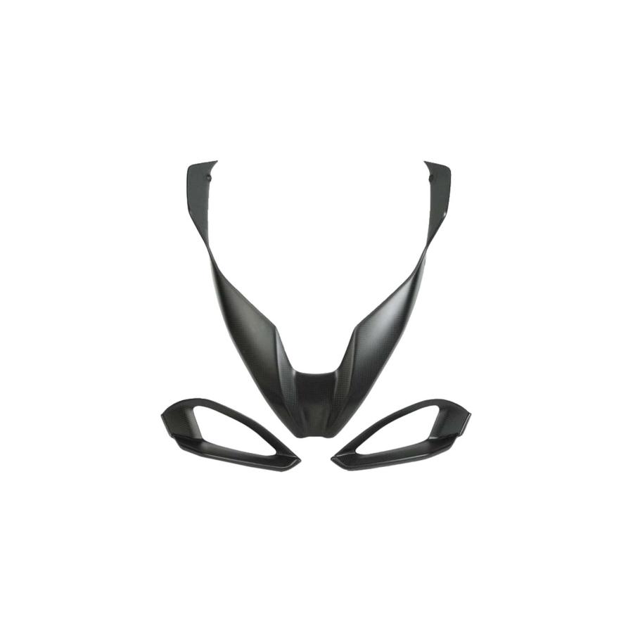 【正規輸入代理店】LighTech - ドライカーボン フロントフェアリングキット (艶あり) MULTISTRADA V4 / S '21-24 / PIKES PEAK '22-24_1