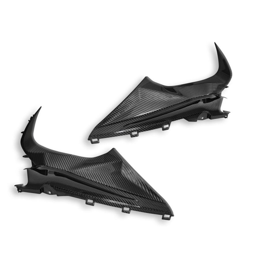 【正規輸入代理店】DUCABIKE (DBK) - ドライカーボン インナーパネル (艶あり) S1000 RR '19-24の画像