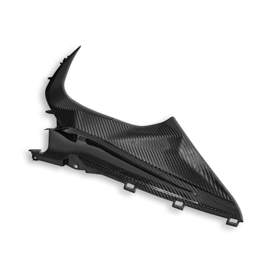 【正規輸入代理店】DUCABIKE (DBK) - ドライカーボン インナーパネル (艶あり) S1000 RR '19-24の画像