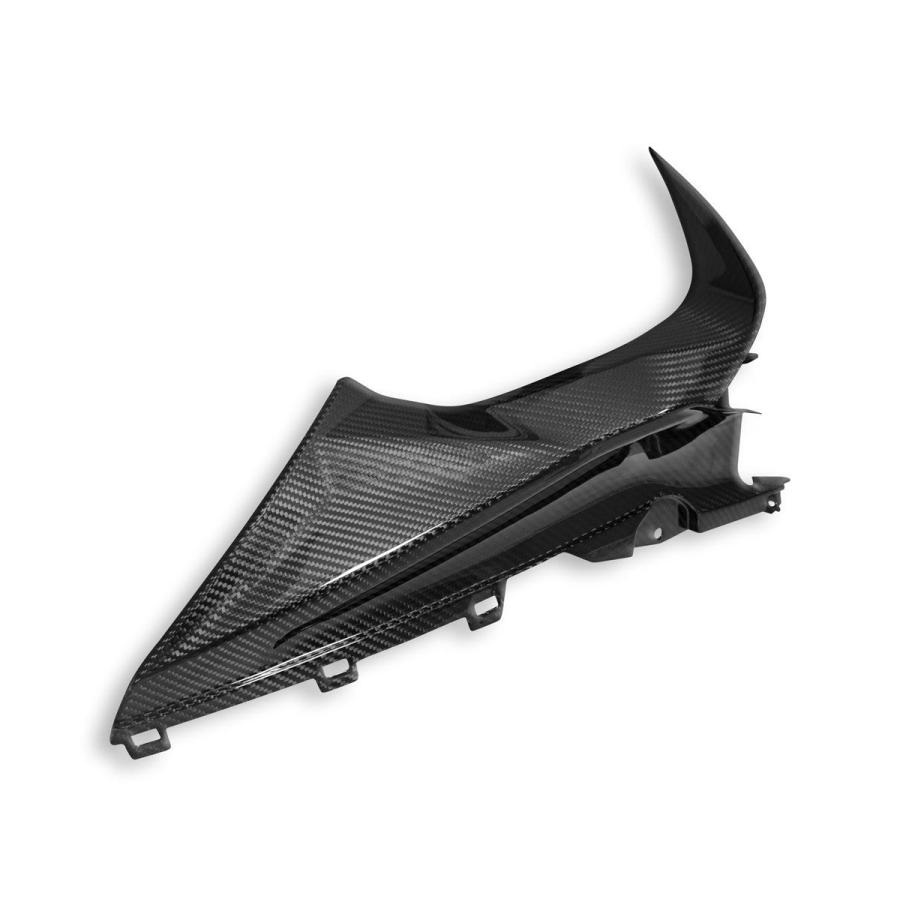 【正規輸入代理店】DUCABIKE (DBK) - ドライカーボン インナーパネル (艶あり) S1000 RR '19-24の画像