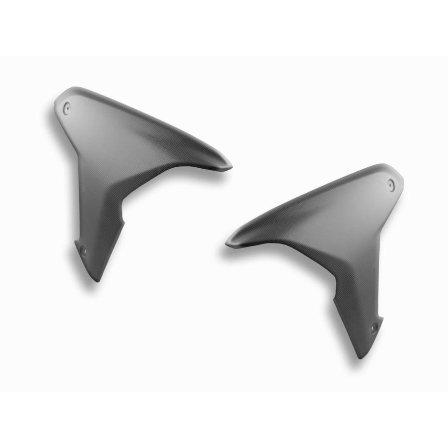 【正規輸入代理店】DUCABIKE (DBK) - ドライカーボン サイドカウル (艶なし) MULTISTRADA V4 / S / PIKES PEAK / RS '21-25_1