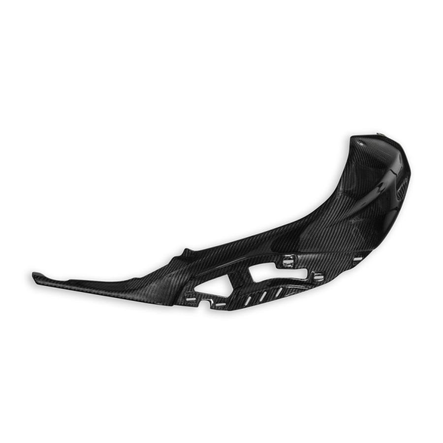 【正規輸入代理店】DUCABIKE (DBK) - ドライカーボン タンクサイドカバー (艶あり) S1000 R '21-25 / M1000 R '23-25の画像