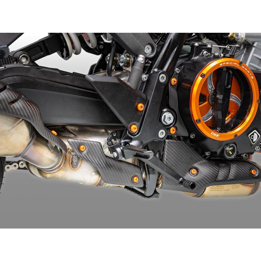 【正規輸入代理店】DUCABIKE (DBK) - ドライカーボン エキゾーストヒートガード (後側 / 艶なし) 990 DUKE '24 / 990 DUKE R '25の画像