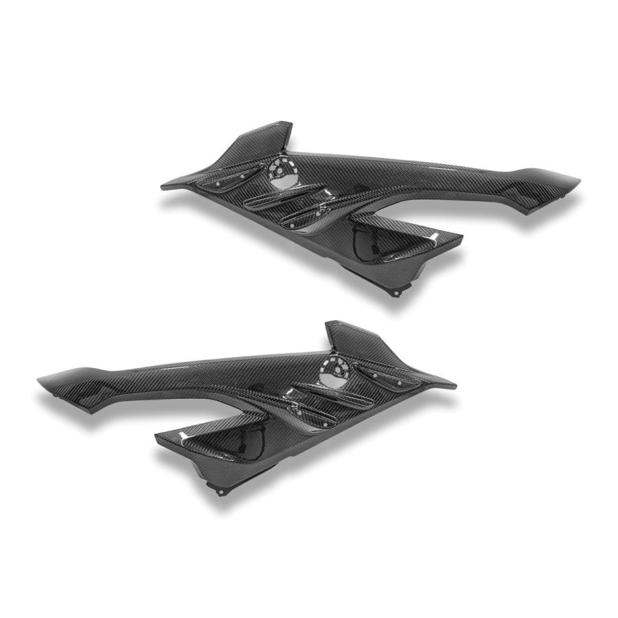 【正規輸入代理店】DUCABIKE (DBK) - ドライカーボン アッパーサイドカウル (艶あり) S1000 RR '23-24_1