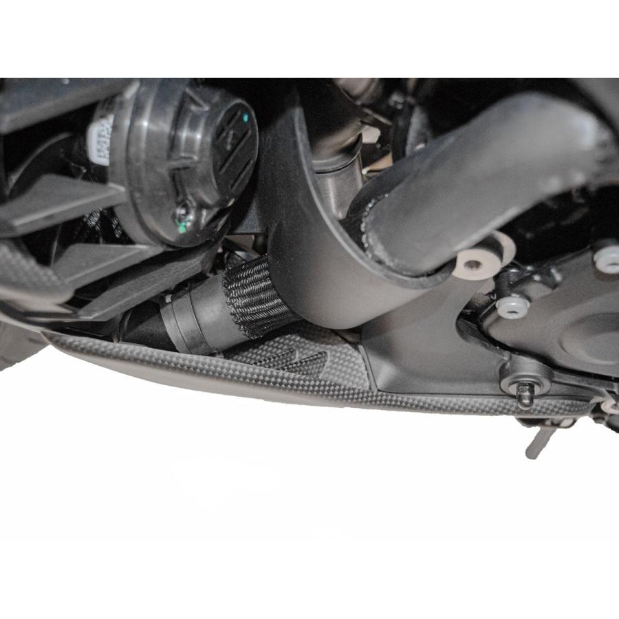 【国内在庫】DUCABIKE (DBK) - ドライカーボン フェアリングサポート (艶なし) DIAVEL V4 / RS '23-26_3