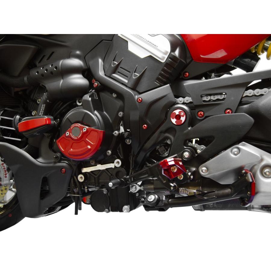 【正規輸入代理店】DUCABIKE (DBK) - 逆シフトペダル DIAVEL V4_6