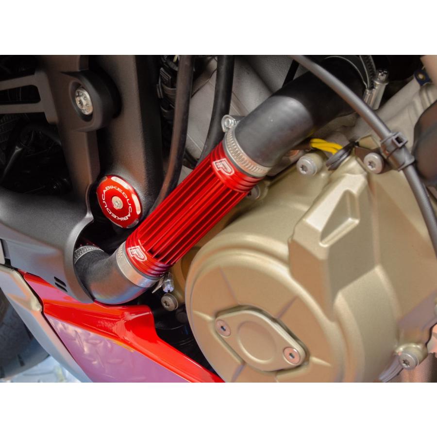 【国内在庫】DUCABIKE (DBK) - フレームプラグ (下側) STREETFIGHTER V4 / S '20-24 / SP '22 / SP2 '23-24 ゴールド_4