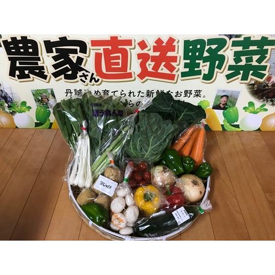 野菜セット 10品目以上 直送野菜 新鮮 採れたて 茨城県・千葉県産 農家さん 夏季クール便対応【通常/定期】｜imoyakyubey｜02