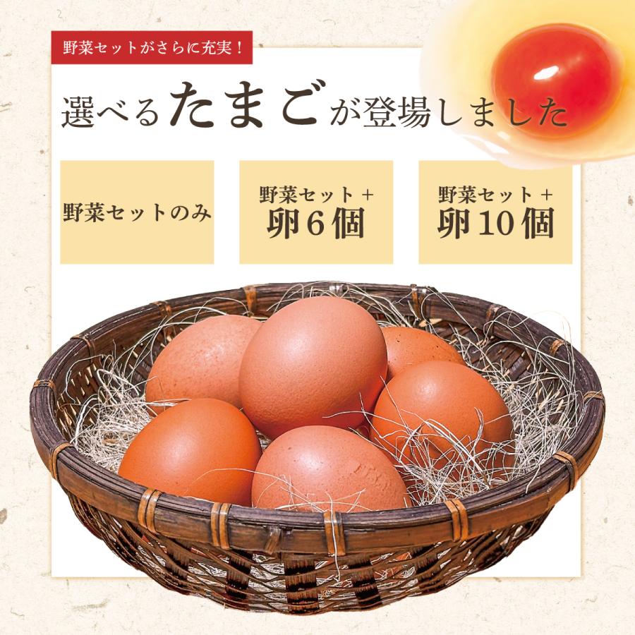 野菜セット 10品目 選べるたまご 直送野菜 新鮮 採れたて 茨城県・千葉