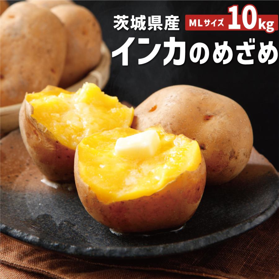 茨城県産 じゃがいも インカのめざめ LMサイズ 10kg : 芋屋久兵衛