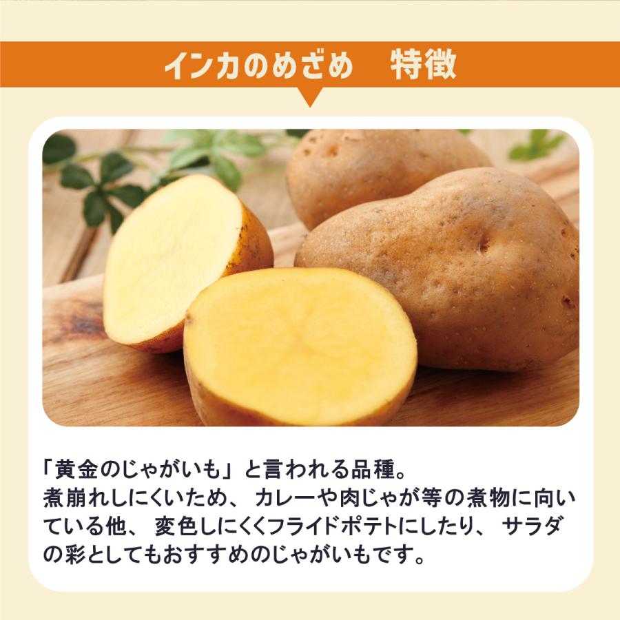 茨城県産 じゃがいも インカのめざめ LMサイズ 10kg : 芋屋久兵衛
