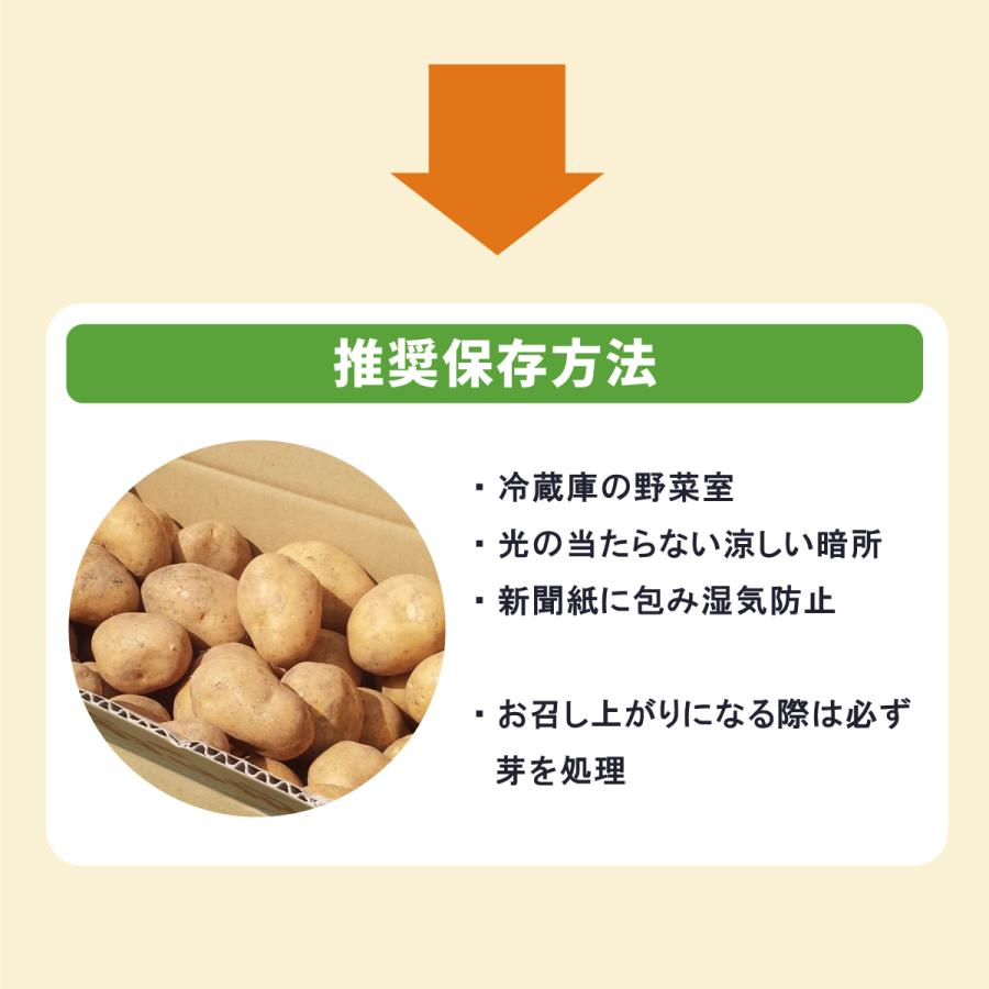 茨城県産 じゃがいも インカのめざめ LMサイズ 10kg : 芋屋久兵衛